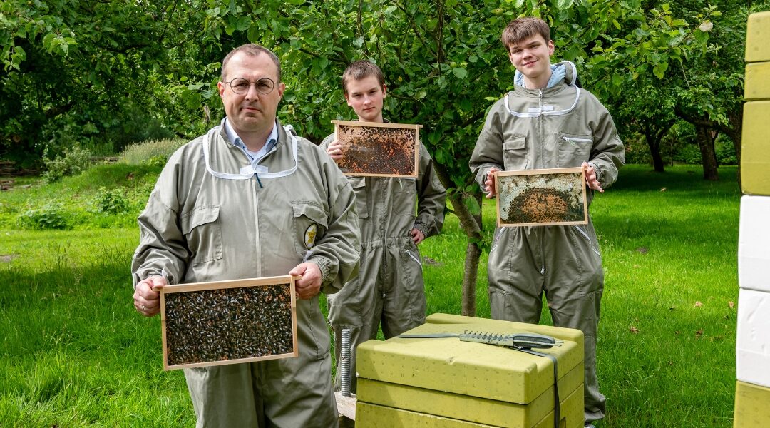 Arbeit mit Bienen: Verantwortung übernehmen, Angst abbauen und mit der Natur in Beziehung treten
